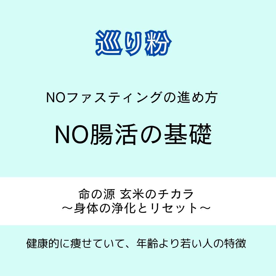 2週間MEGURICO腸活クリーニングセット「発酵玄米おにぎり42個