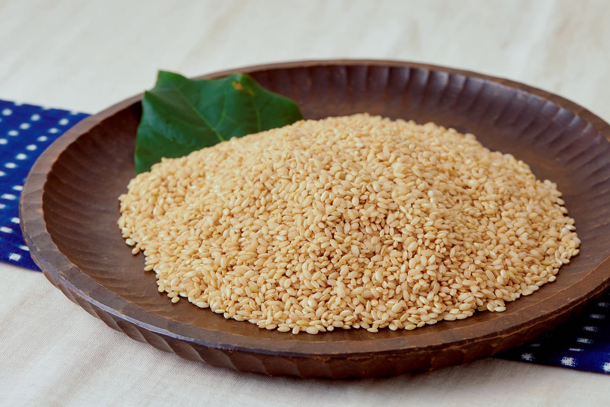 飼料用米　エサ　13kg　古米　コシヒカリ玄米 新品登場 飼料用米 エサ 13kg 古米 コシヒカリ玄米 鳥のエサ