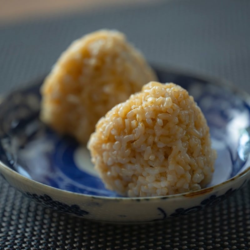 2週間MEGURICO腸活クリーニングセット「発酵玄米おにぎり42個