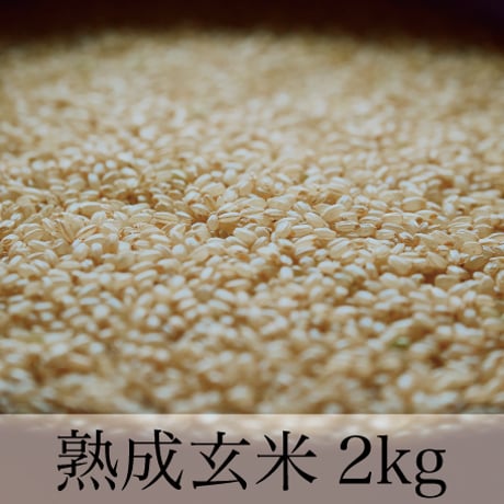 熟成玄米 2kｇお得サイズ【玄米酵母液 源液の発酵用】