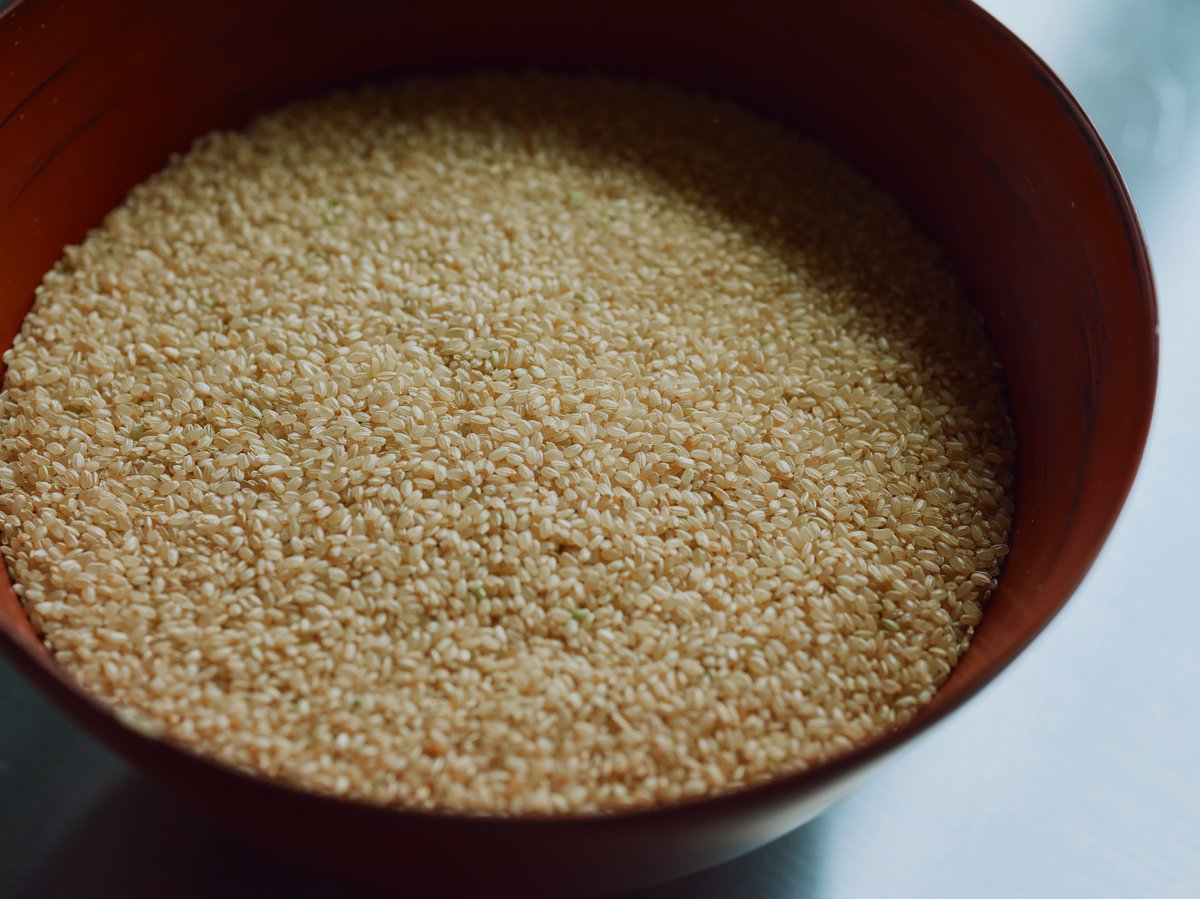 熟成玄米 2kgお得サイズ【玄米酵母液 源液の発酵用】 | 玄米酵母液