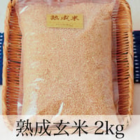 熟成玄米 2kｇお得サイズ【玄米酵母液 源液の発酵用】