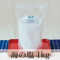 海の塩 1kg【玄米酵母液 源液の発酵用】