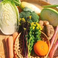【スポット注文】自然農法 野菜セット  (税、送料、夏季クール便代込み)