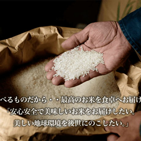 自然農法の玄米5kg  2020年静岡県産＜野菜セット注文者限定＞