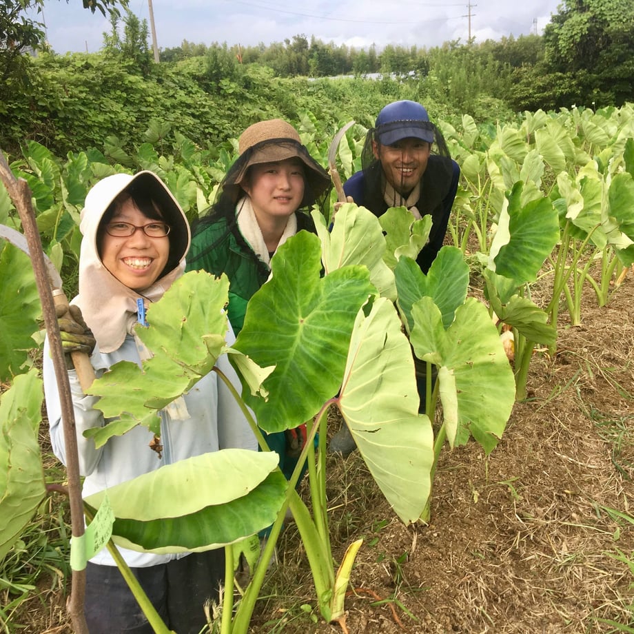 5ea7624e34ef016909c5565b