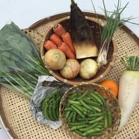 【定期おトク便：大家族・月2回】無農薬 野菜セット  (税、送料、夏季クール便代込み)
