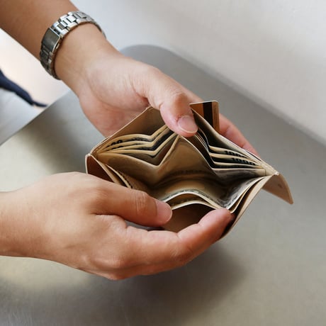 dunn 3wings wallet "Altern model"