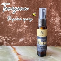 Mさま専用】ロシア（はちみつ美術館） リンデン1kg | ETHICAL PRODUCT