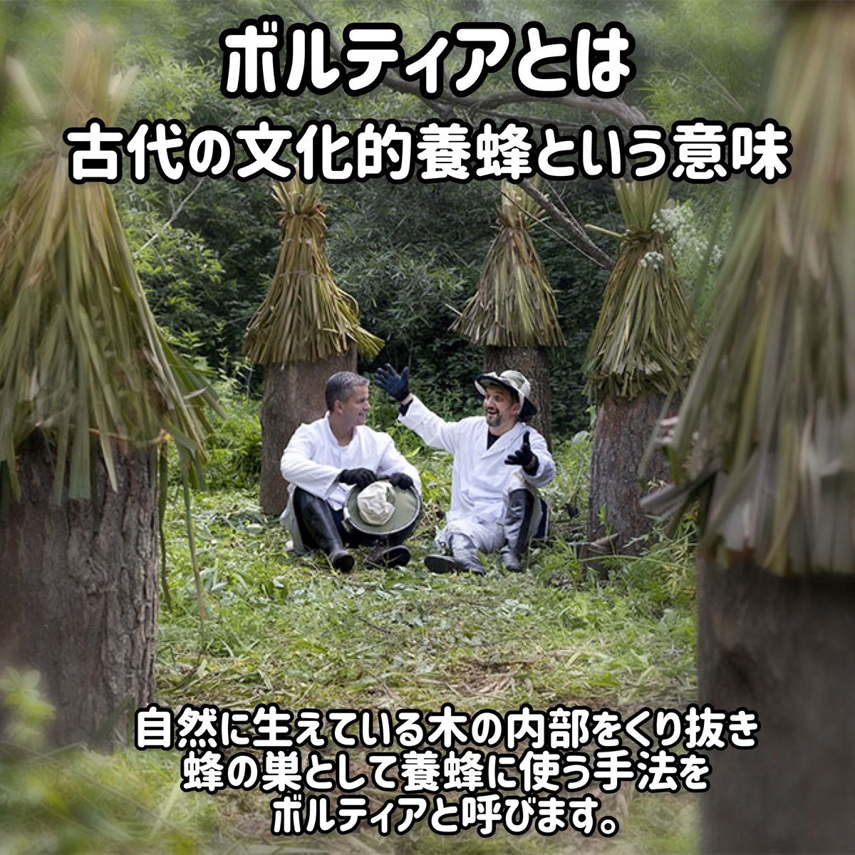 ロシア（はちみつ美術館） ボルティア1kg | ETHICAL PRODUCT