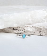 Turquoise  (NO,115665)
