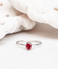 Garnet (NO,114981)