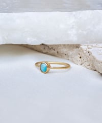 Turquoise (NO,115663)