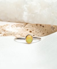 Opal (NO,114995)