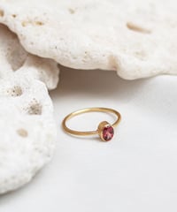 Garnet (NO,114978)