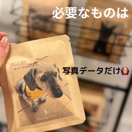 ＜オプション＞オリジナルパッケージ作成【メールでやり取りアリ】