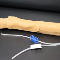 小型犬の橈側皮静脈注射トレーニング模型