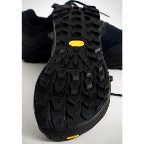 ALTRA/LONE PEAK 9+ GTX mens