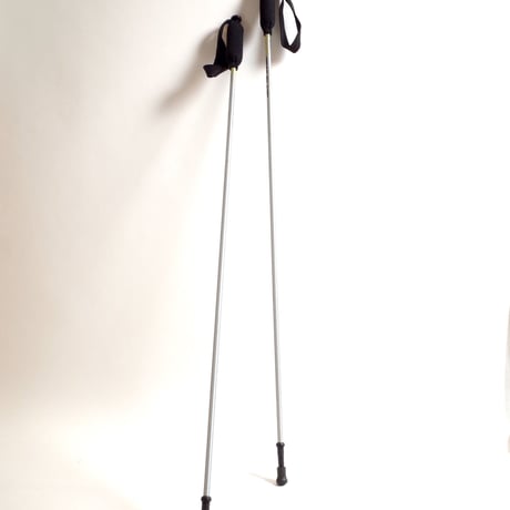 MOUNTAIN  KING/Trail Braze 3 section