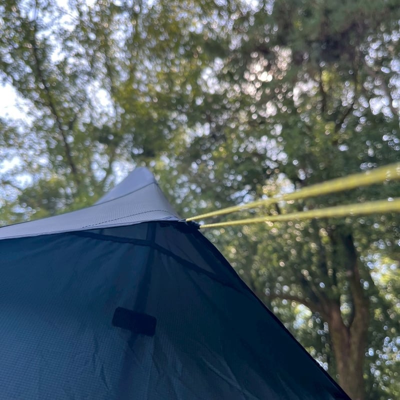 TERRA NOVA/SOLAR PHOTON2 | SUNDAY web STORE