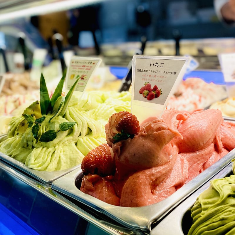 ALL受賞ジェラート 8個（送料込）☆ | malgagelato's STORE