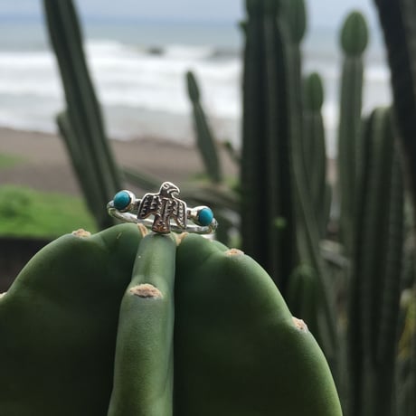 CATEGORY サンダーバード/Thunderbird | Voyage Jewelry J