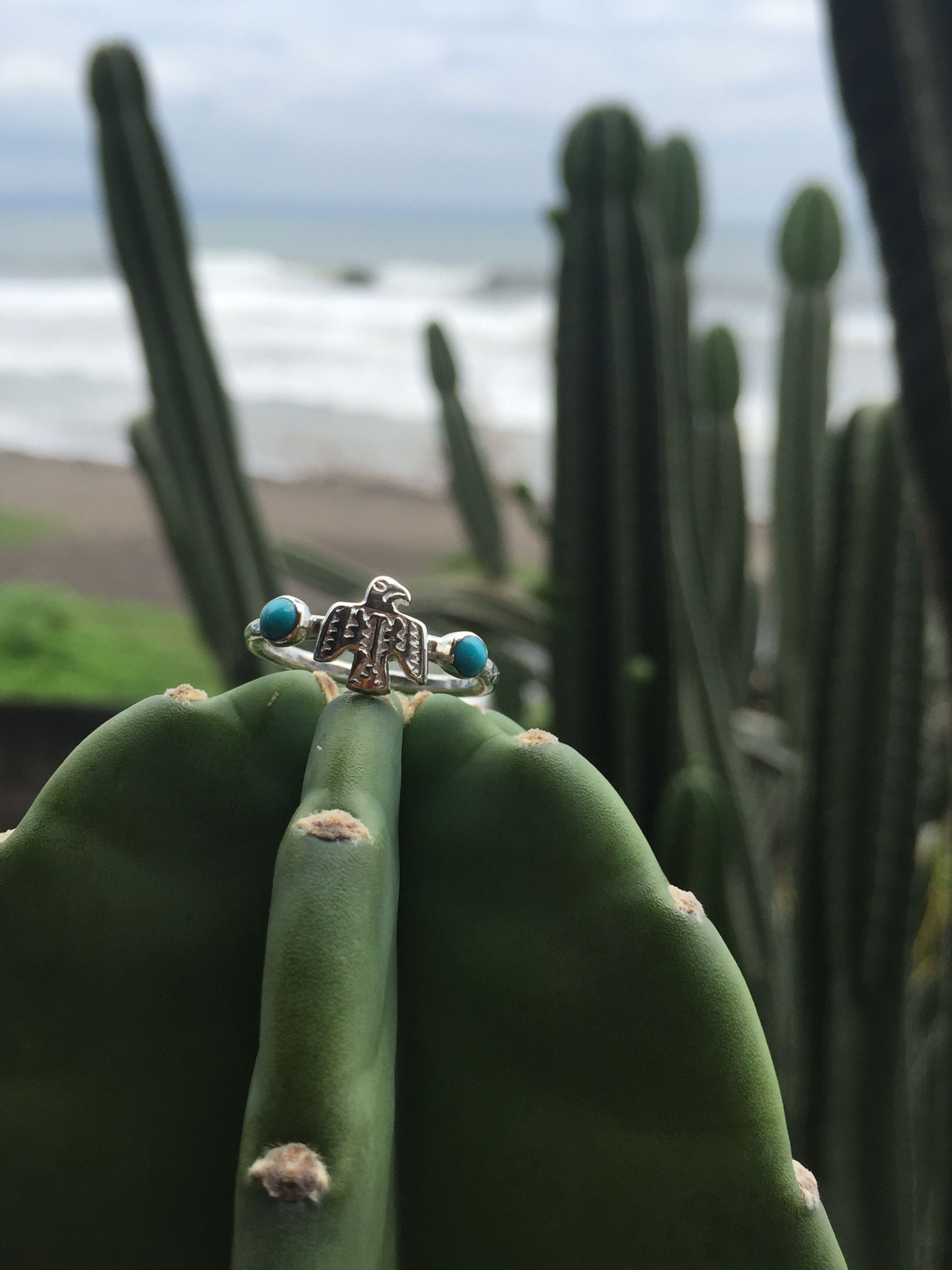 サンダーバード ターコイズ リング 925シルバー | Voyage Jewelry Japan