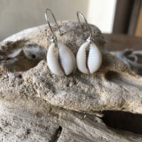 シーシェル ピアス 925シルバー