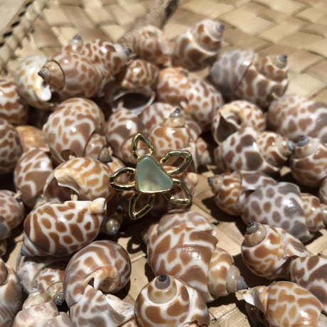 CATEGORY プルメリア/Plumeria | Voyage Jewelry Japan