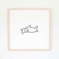 Silk Screen - コロン