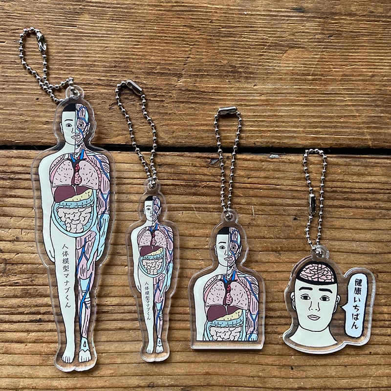 人体模型マナブくん アクリルキーホルダーBIG | ひそかな雑貨屋 うみねこ社