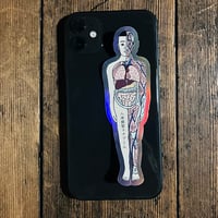 人体模型マナブくん ホログラムステッカー　全身BIG