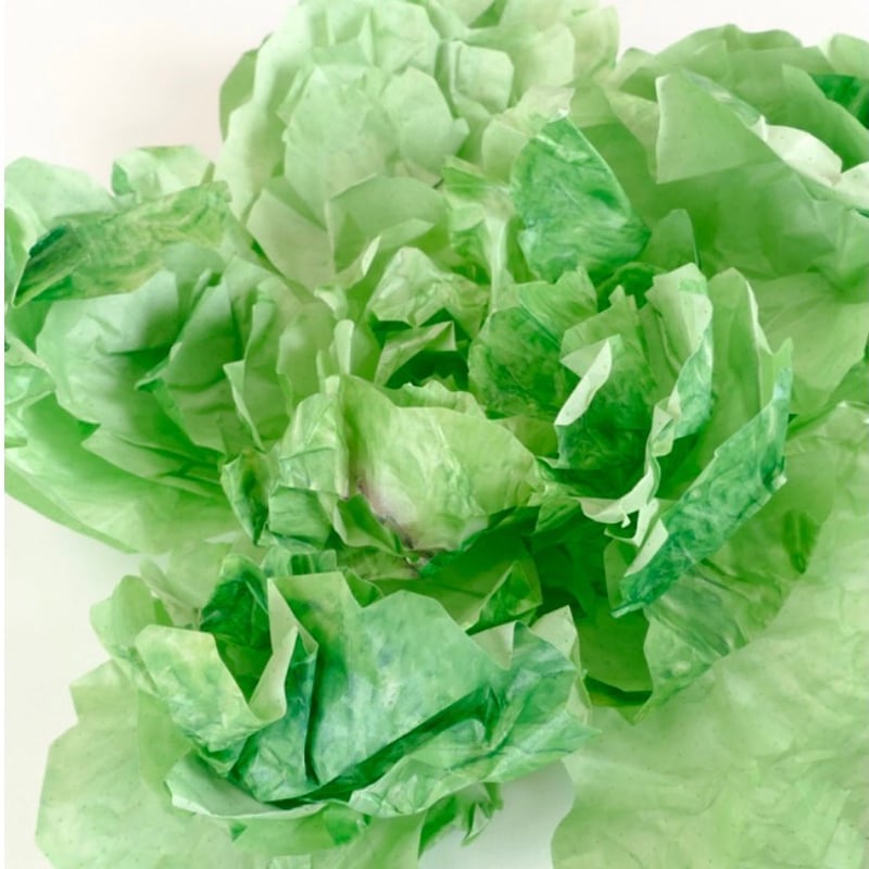 ★レタス 東京書けるレタス | ひそかな雑貨屋 うみねこ社