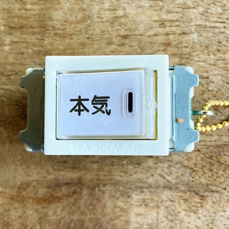 CATEGORY 【さば電子】 | ひそかな雑貨屋 うみねこ社