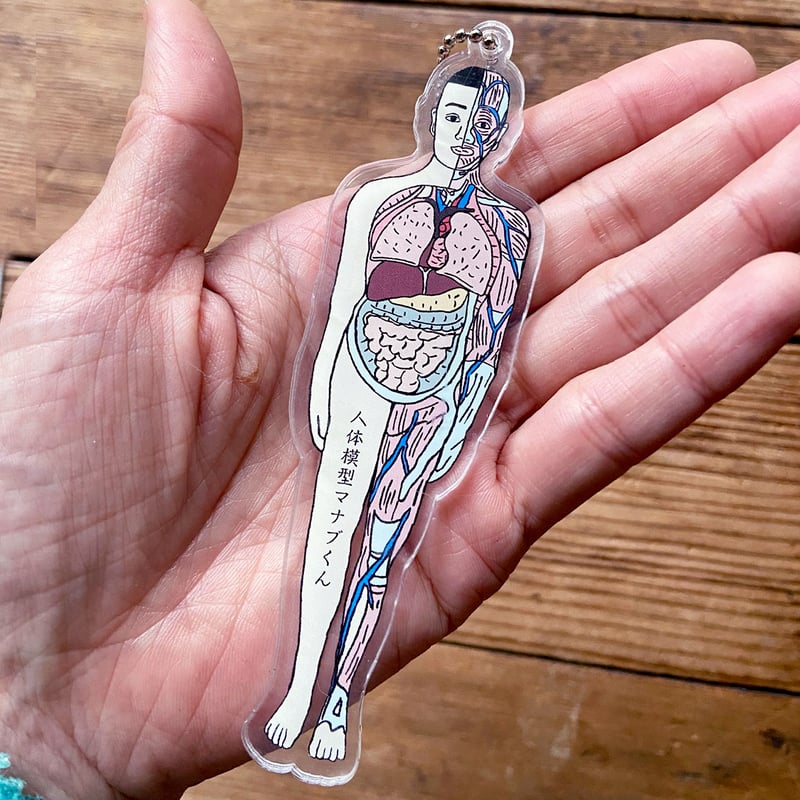 ⭐︎非売品⭐︎ マナビス公式キャラクターマナベアキーホルダー ⭐︎非売品⭐︎ マナビス公式キャラクターマナベアキーホルダー