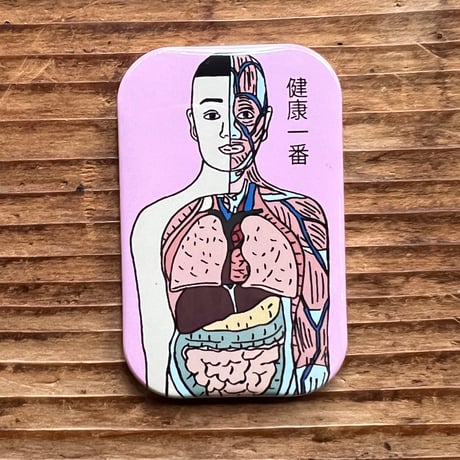 人体模型マナブくん マグネット