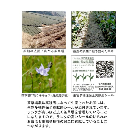 静岡の茶草場農法 粉末煎茶 40g（送料220円）