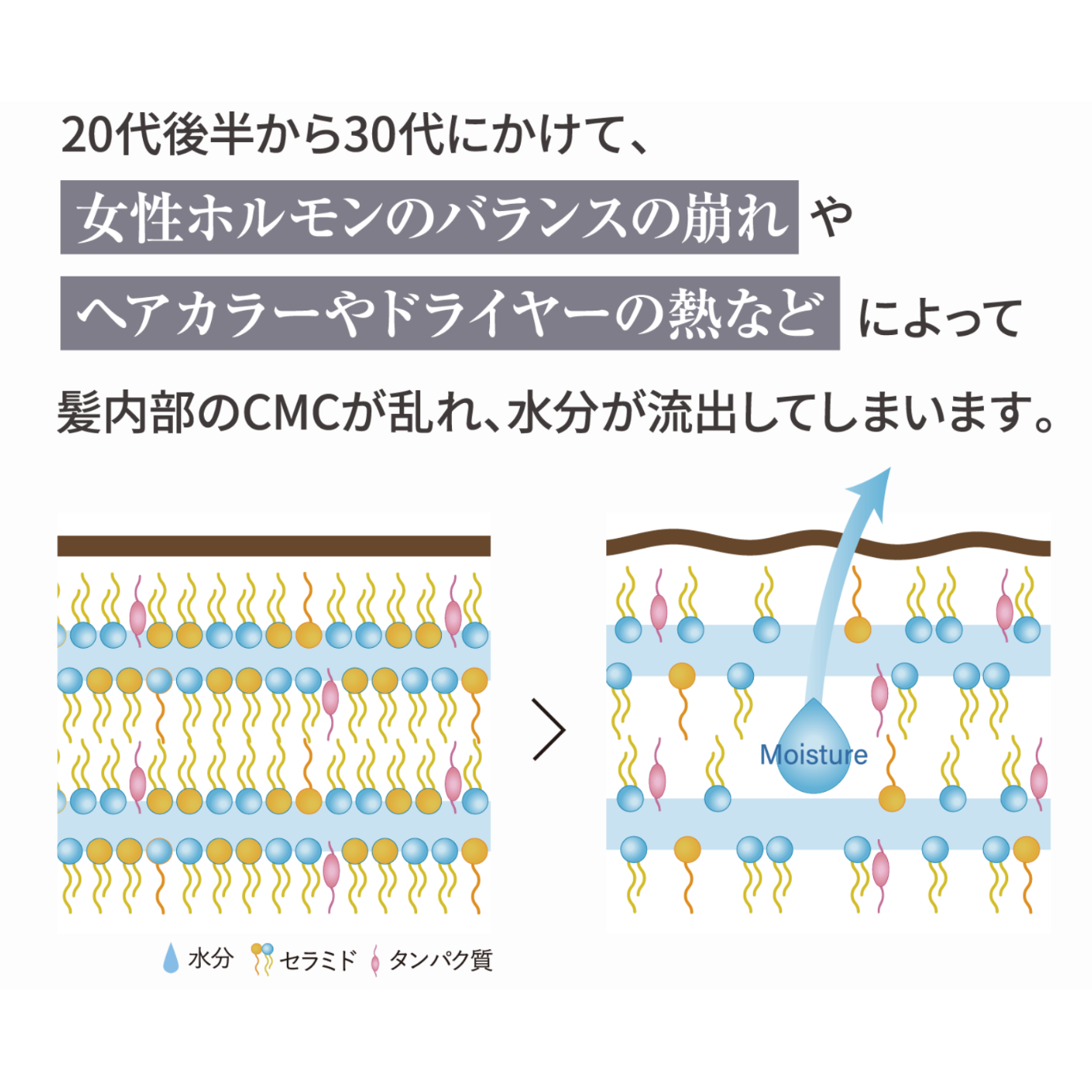 ガルバCMCケアシャンプー 400g(詰替)【送料無料】 | スパニストが ガルバCMCケアシャンプー 400g(詰替)【送料無料】 | スパニストが