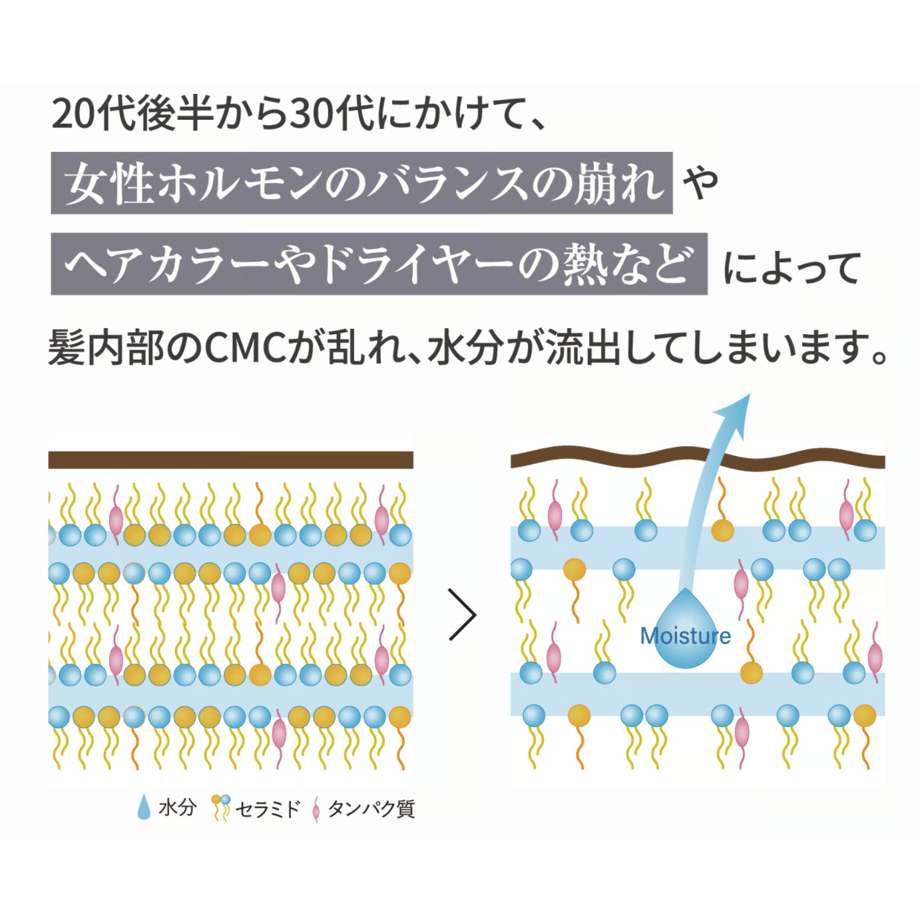 63e270c493f6197ef28e025b