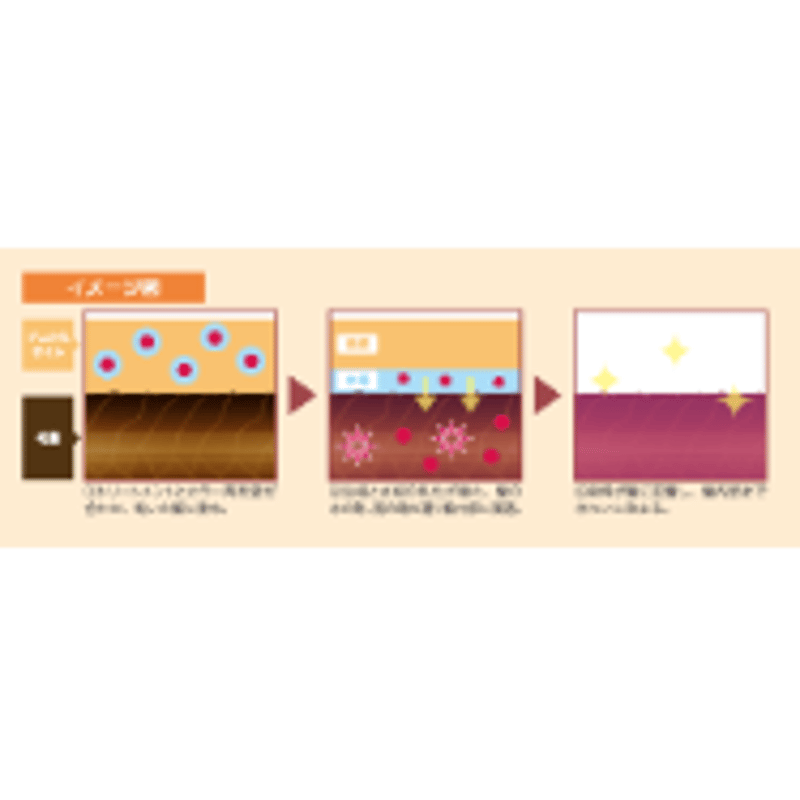 東京カラーパレット　黒鳶×1 ブースター×1 東京カラーパレット 黒鳶×1 ブースター×1