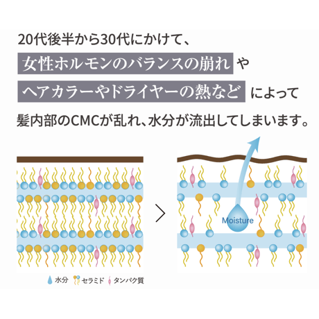 ガルバＣＭＣケアシャンプー 400ml（ボトル）【送料無料】
