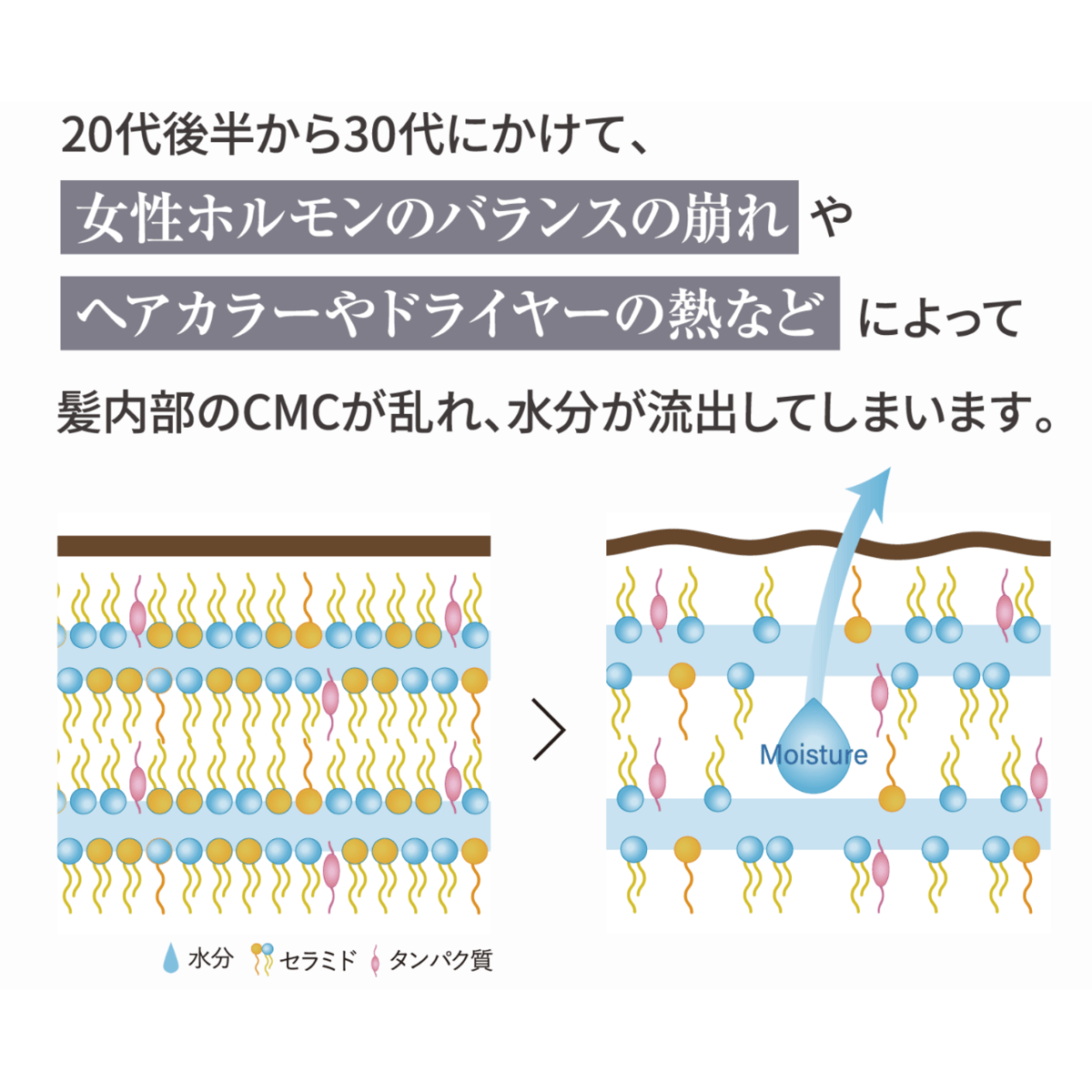 ガルバCMCケアシャンプー 400ml（ボトル）【送料無料