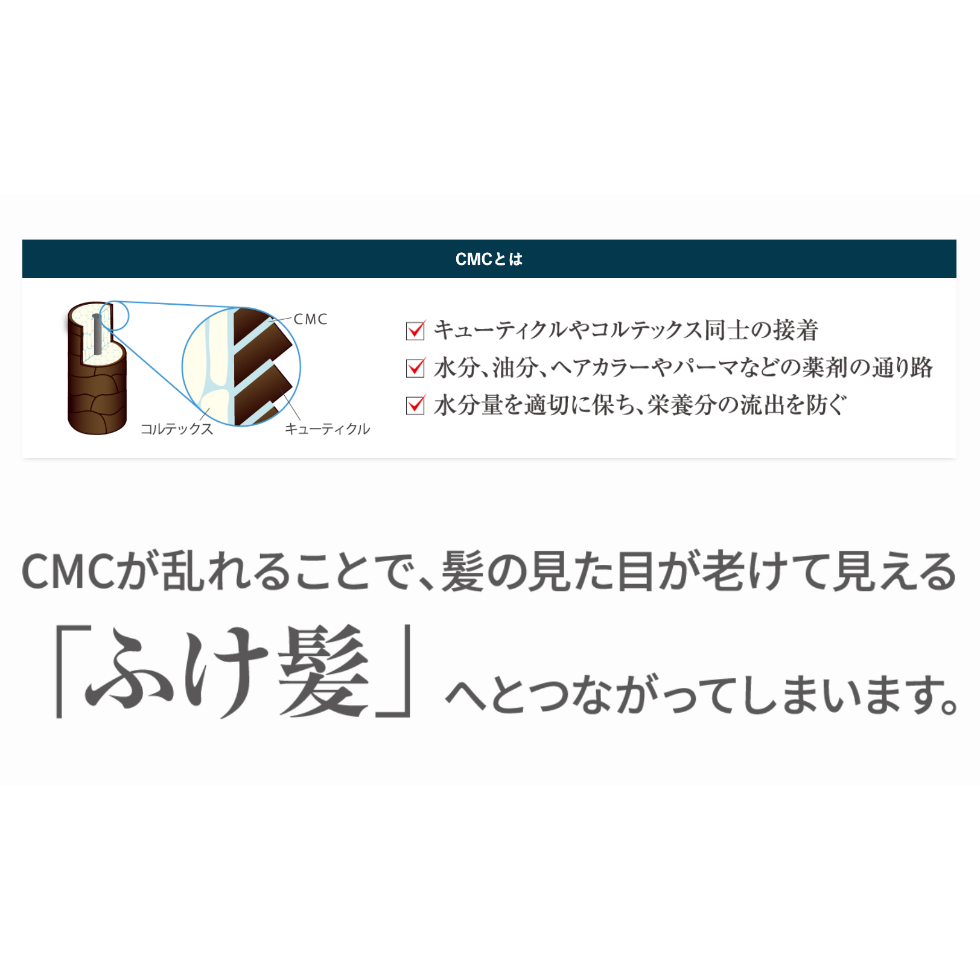 ガルバＣＭＣケアシャンプー 400g（詰替）【送料無料】 | スパニストが選ぶヘアケアのお店 ...