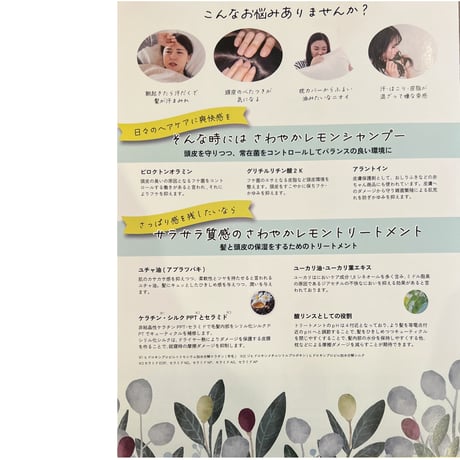 KAMOME さわやかレモンシャンプートリートメントセット 300g［送料無料］
