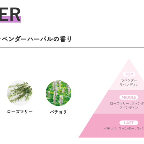 ミュースキャルプ シャンプー フォーカスケア280mL［送料無料］