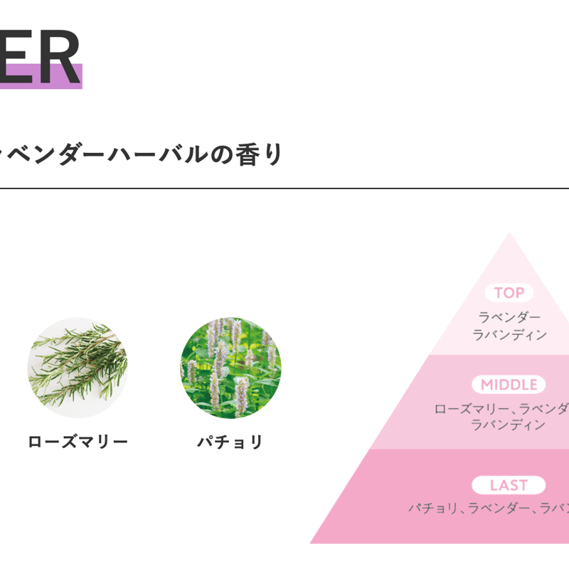 ミュースキャルプ シャンプー フォーカスケア280mL［送料無料