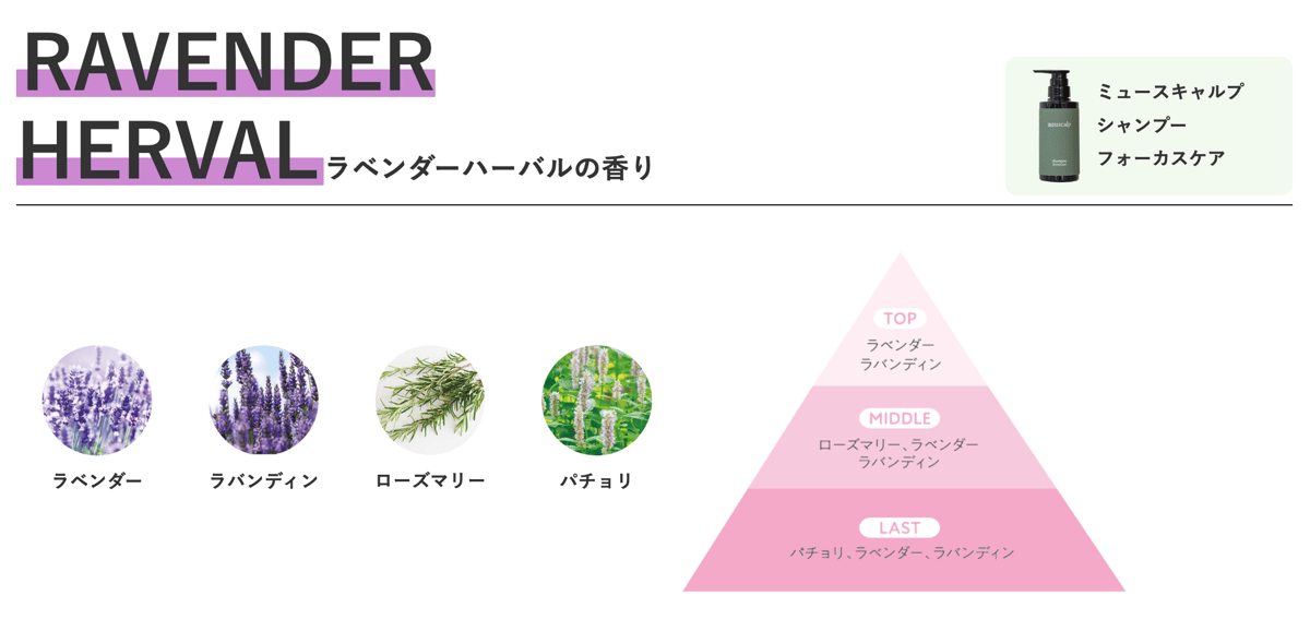 ミュースキャルプ シャンプー フォーカスケア280mL［送料無料