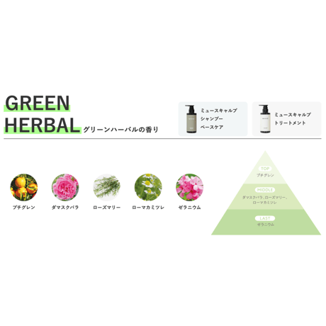 ミュースキャルプ シャンプー ベースケア280mL［送料無料］