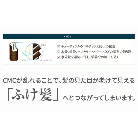 ガルバＣＭＣケアトリートメント 400ml（ボトル）【送料無料】