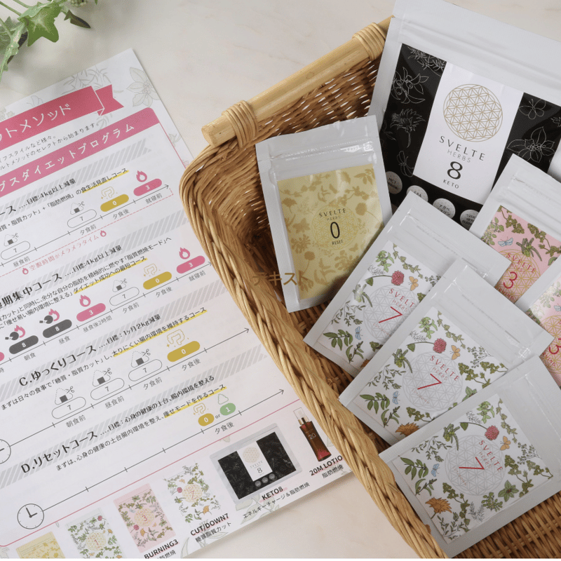 スベルトハーブスダイエットシステム 3日間お試しセット【送料無料